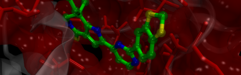 Functional Genomics